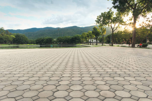 Best Professional Driveway Pavers  in White House, TN